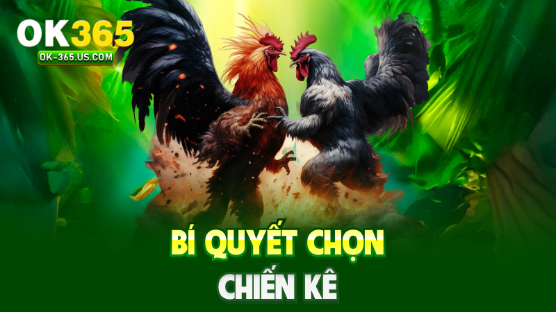 Bí quyết chọn chiến kê