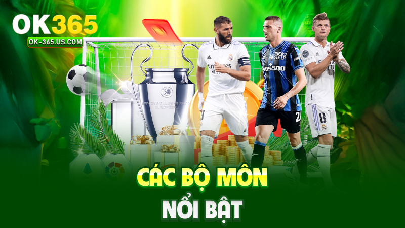 Các bộ môn nổi bật
