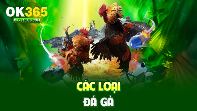 Các loại đá gà