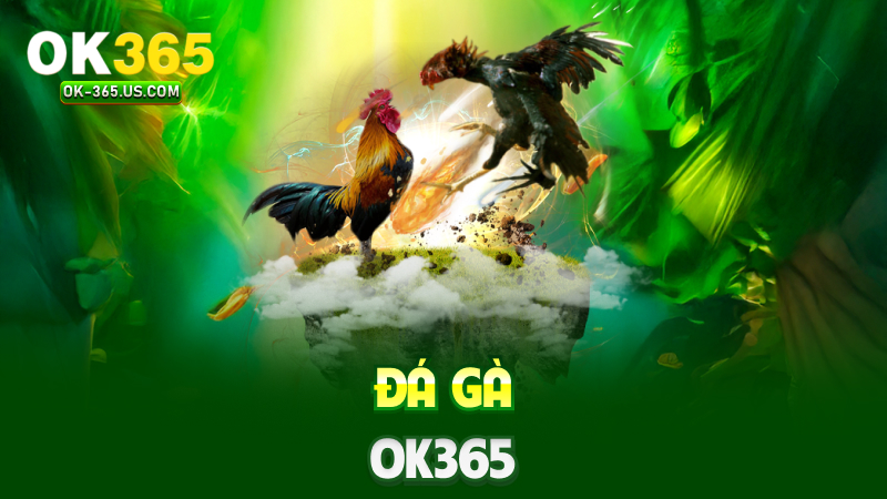 Đá gà Ok365
